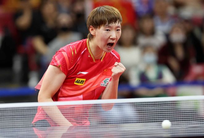 无论从阵容 无论从阵容